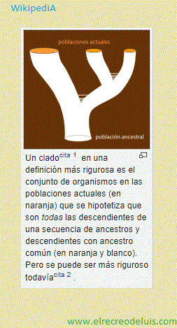 clado (36K)