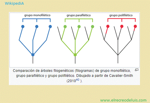 filogramas (38K)