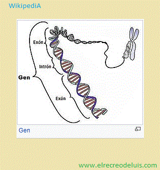 gen (29K)