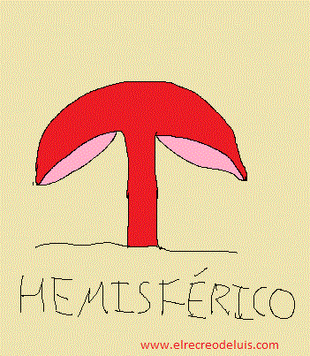 formas de setas, sombrero, hemisferico. (40K)