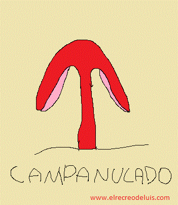 formas de setas. sombrero, campanulado. (40K)