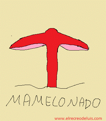 formasdesetas, sombrero,mamelonado. (39K)