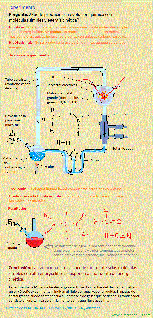 experimento de miller (246K)