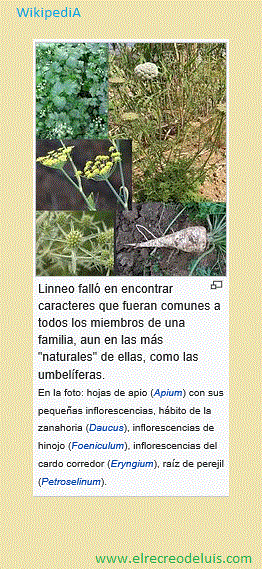 linneo caracteres (66K)