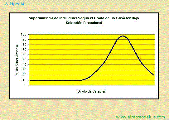 seleccion direccional (38K)